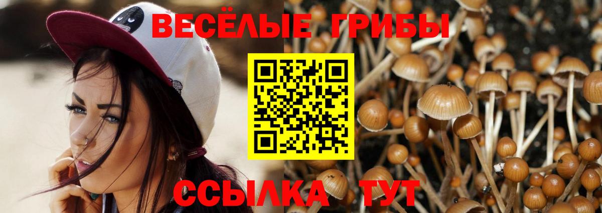 Псилоцибиновые грибы прущие грибы  Вход с VPN  Верхний Уфалей 